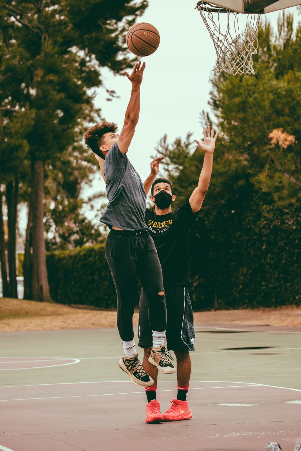 Vertical Jump Training Program